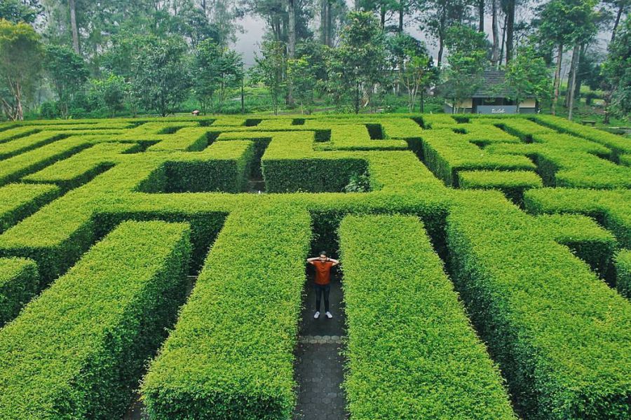 Wisata Bromo5 Wisata Bromo5